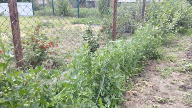 Частный дом.Работы завались, а вам выбирать🤔 смотреть онлайн