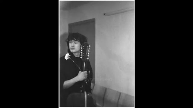 Редкие фото Виктора Цоя. (слайд шоу) 1 часть. Заходите в мой Тикток ник в описании. смотреть онлайн