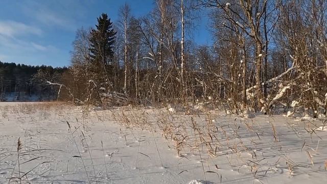Зимняя рыбалка в ???глухозимье, как в ???лужу. смотреть онлайн