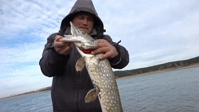 Щука на живца Крым.