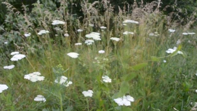 С добрым утром! С новым днем