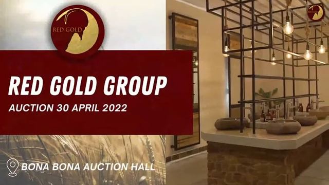 Top quality Kalahari Reds savanna's on the RED GOLD PRODUCTION AUCTION смотреть онлайн