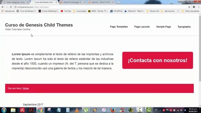 Curso de Genesis Child Themes en Wordpress - Optimizando CSS смотреть онлайн