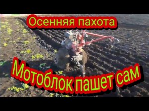 Осенняя пахота мотоблоком.