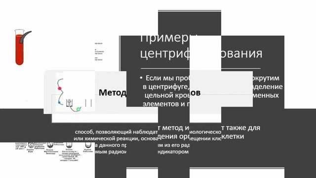 1.1 Биология как наука. Методы познания живой природы смотреть онлайн