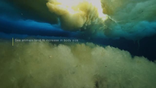 Deep Sea Gigantism | Why the Ocean Breeds Giants смотреть онлайн