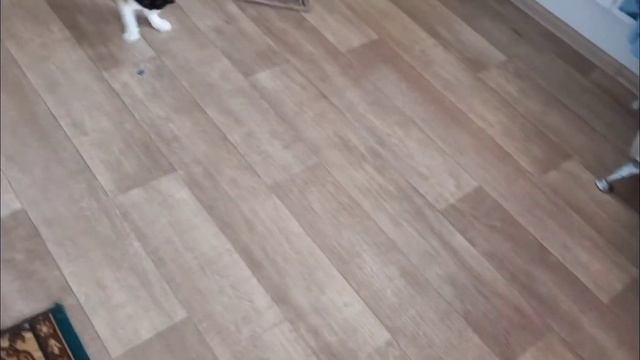 На берегу ЧУ -утренняя зарядка ??⬛? смотреть онлайн