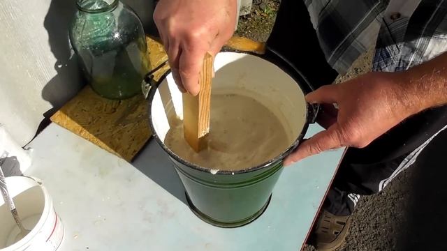 СУПЕР Кальций Голубям своими руками ?/ Pigeon Pigeons