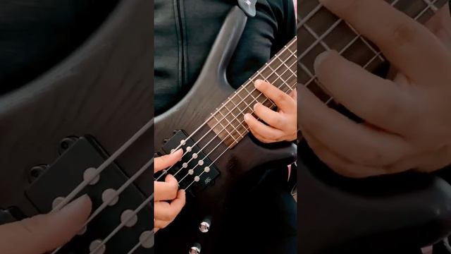 Reflections in Dm/Short Video смотреть онлайн