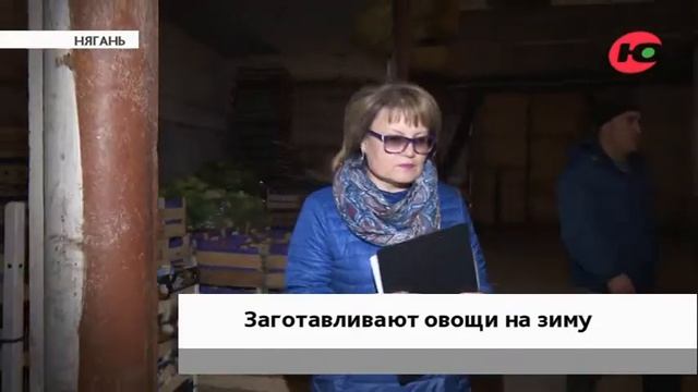 Витаминами обеспечены. В Нягани на зиму заготовили овощи смотреть онлайн