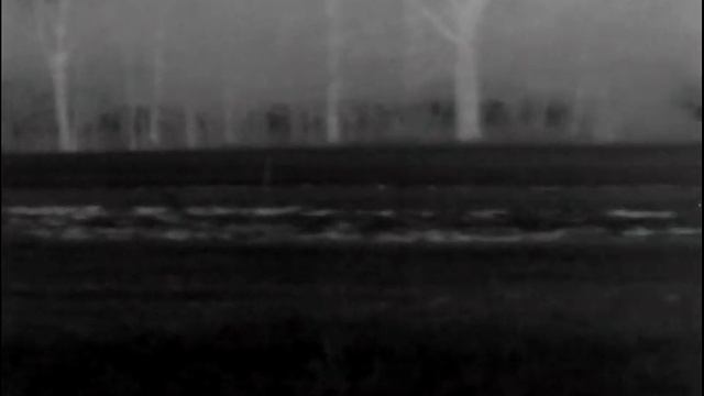 #13 Thermovision Pulsar Axion XM38 around 14 Wildboars ? ? WILD BOAR HUNTING IN POLAND смотреть онлайн