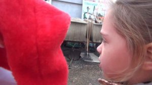 МОЖНО ЛИ СРУБИТЬ ЕЛКУ В АМЕРИКЕ кто мне помешал //byKaty