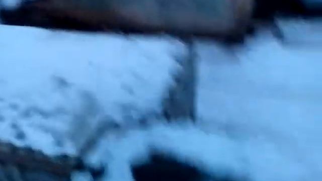 Самый высокий гараж в гатчине смотреть онлайн