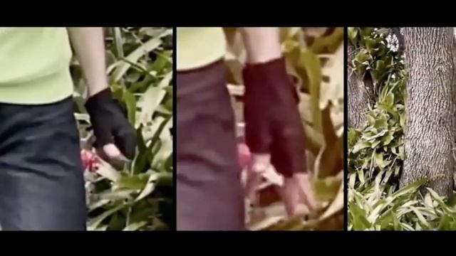 ШОК!!! ДРИМ ПОКАЗАЛ ЛИЦО!!! смотреть онлайн