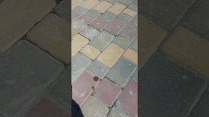 Чем отмыть тротуарную плитку от плиточного клея?
