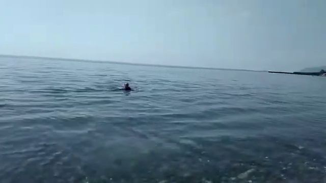 Роман-Кош  Урсула июль 19