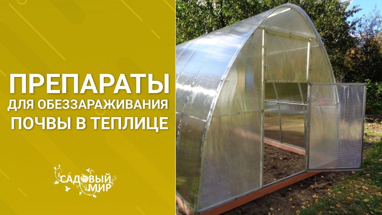 Препараты для обеззараживания почвы в теплице. Томаты до октября в теплице смотреть онлайн