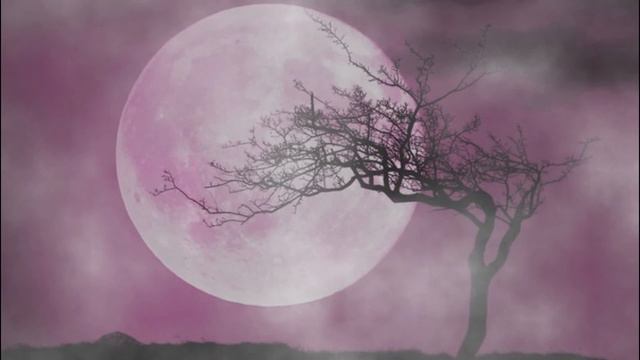 What is The Pink Moon | How To BEE Explained смотреть онлайн