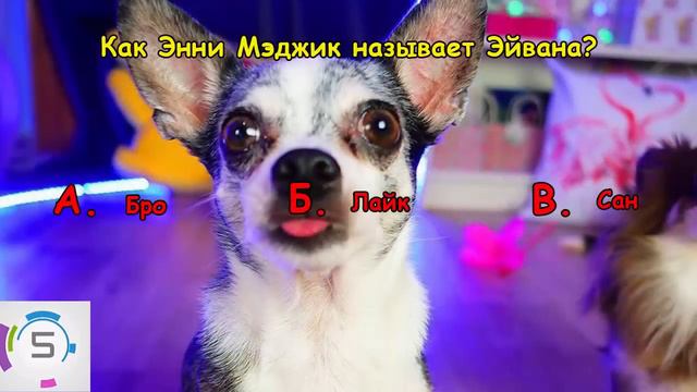 ЭННИ МЭДЖИК | Насколько хорошо ты знаешь Anny Magic?