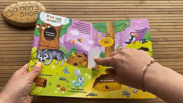 Книжка с окошками «на лесной опушке» 24 окошка смотреть онлайн