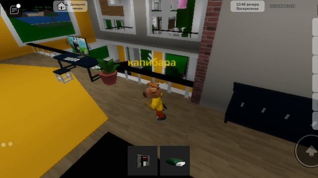 играю в брукхейвен граблю домы в скине капибары :) смотреть онлайн