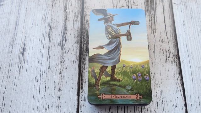 Modern Spellcaster's Tarot Flip Through 4K смотреть онлайн