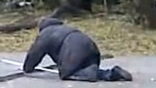 БОМЖ ползет домой смотреть онлайн