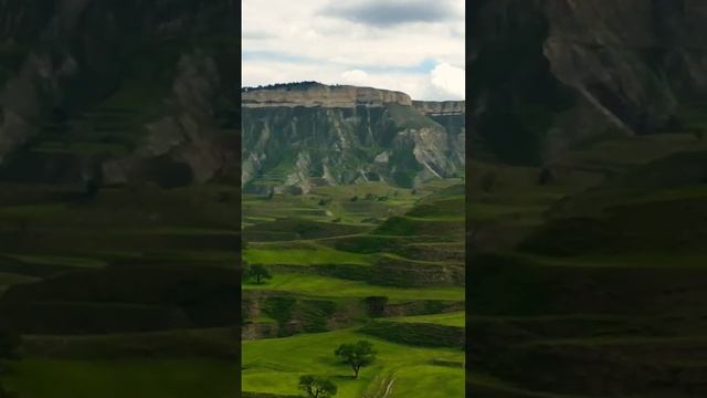 Дагестан | Кудали | Салта #shorts #дагестан #горы #красота #родина #лето смотреть онлайн