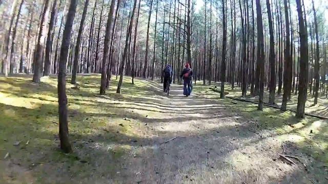 GotWay по деревянным дорожкам в лесу MCM4 HS Electric Unicycle