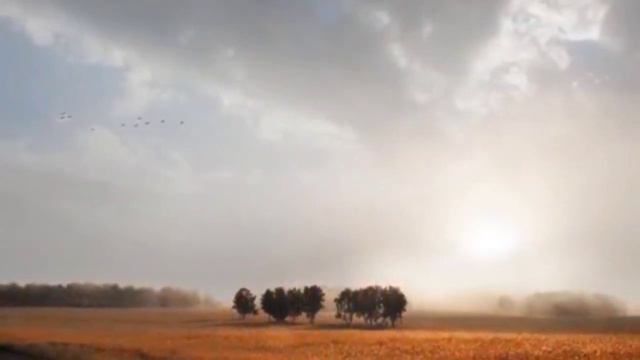 М. Блантер "Пшеница золотая". Исполняет Сусанна Масленникова. смотреть онлайн