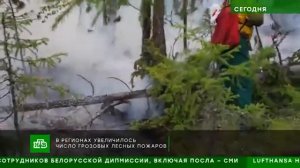 25.05.2021 НТВ_Тушение лесных пожаров в Тюменской области (360p) (1).mp4