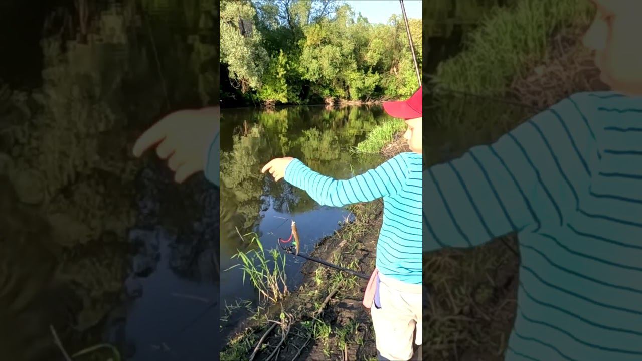 Вот как бывает #рыбалка #рыбаки #нерест #fishing #мальчикрыбак #fishermen #фидер #карп #отдых смотреть онлайн