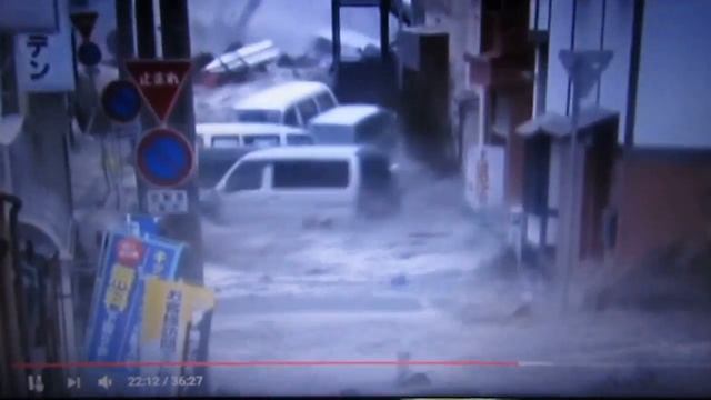 Можно ли убежать от цунами? Tsunami 2011