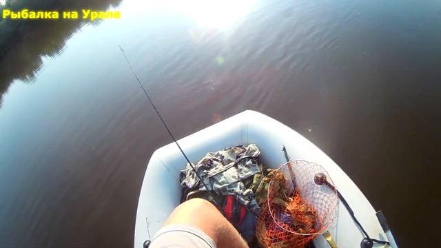 Рыбалка в Поспелково. Окуню клюют даже на дохлую рыбу!!! РЫБАЛКА НА УРАЛЕ 2022. смотреть онлайн