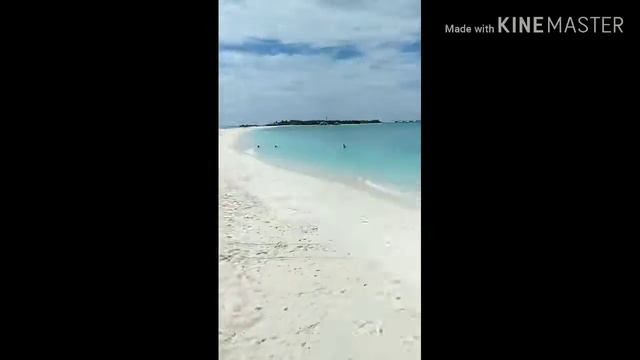 Finolhu Fish & crab shack lunch смотреть онлайн