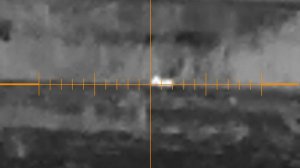 GUIDE TR450. Косуля и заяц. охота тепловизор