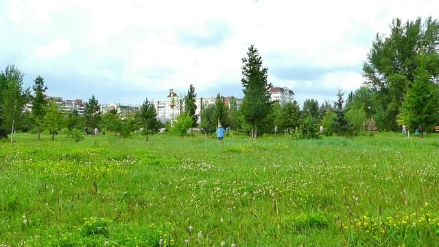 Как поймать бабочку Миша и мама играют в парке - смешные истории смотреть онлайн