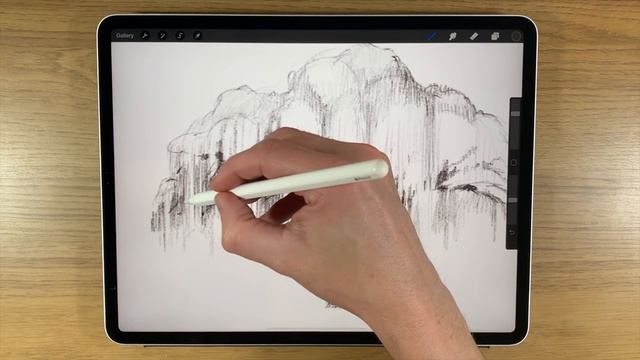 APPLE PENCIL DRAWING TUTORIAL - How to draw trees - Willow and Acacia смотреть онлайн
