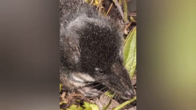 Спокойная умиротворяющая музыка. РЕЛАКС. МУЗЫКА для души.