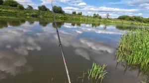 Рыбалка на фидер!Дон.Замятино.