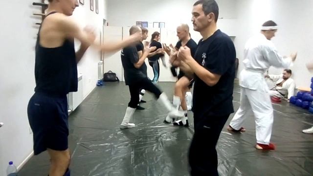 Вин Чун в Новосибирске. Тренировка 20.11.2019 смотреть онлайн