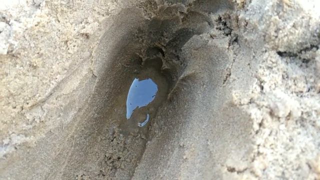 вода в пустыне смотреть онлайн