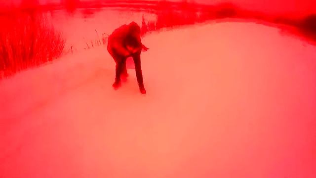 Положил охранника через себя смотреть онлайн