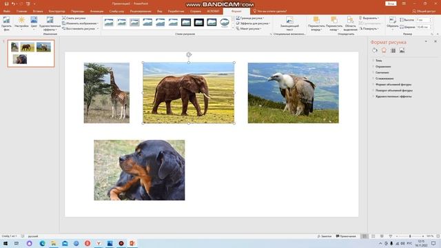 Как легко и быстро выровнять объекты Power Point