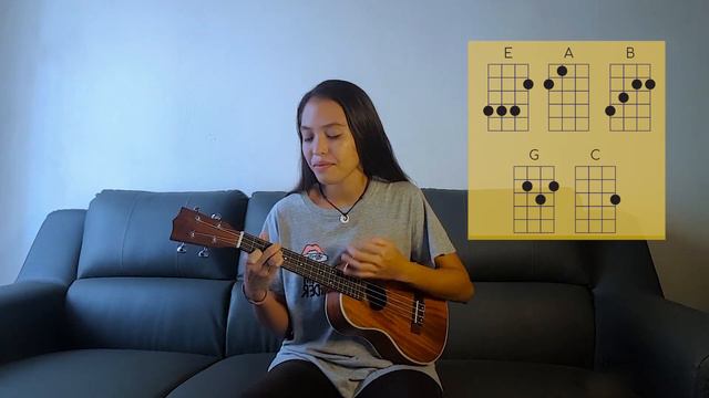 Dreams - The Cranberries (Ukulele Cover with Chords) смотреть онлайн