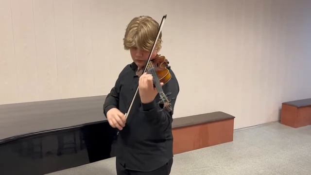 204897 Гавриленко Семён, г Красноярск  Тарантелла