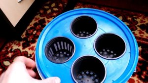 Гидропонная система DWC своими руками