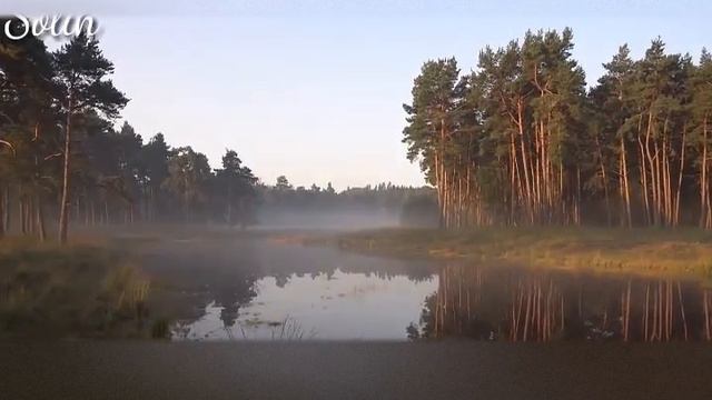 Сынақ келгенде Сүлеймен( а.с) пайғамбарға не дейтін еді Ерлан Ақатаев уағыз 2021 смотреть онлайн