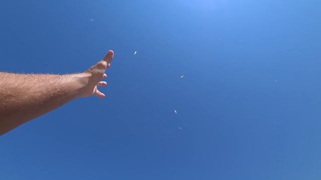 В ШОКЕ от Турции — лучший курорт Олюдениз! Заселение в отель, обзор пляжа, цены и еда в Турции смотреть онлайн