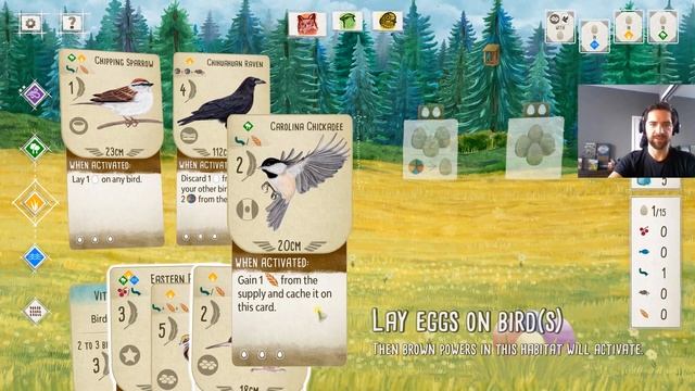 Wingspan Video Game Playthrough смотреть онлайн